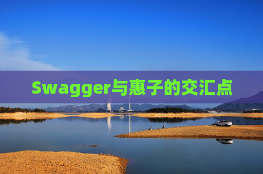 Swagger与惠子的交汇点